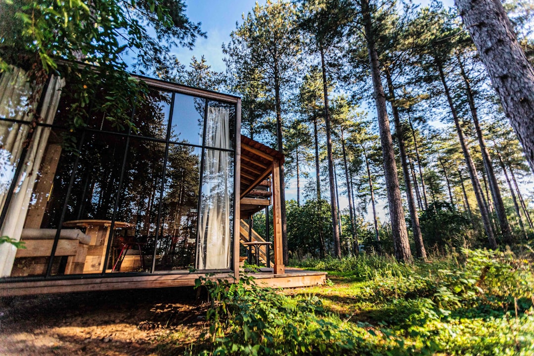 'Cabin'