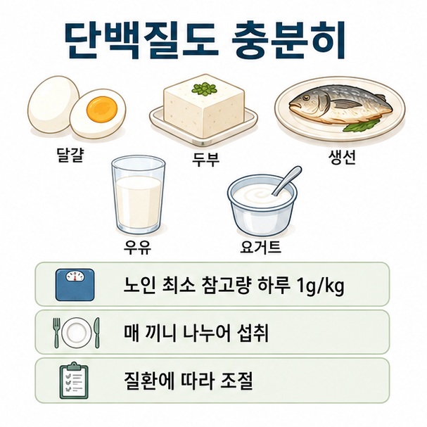 달걀과 두부, 생선, 우유와 요거트 등 단백질 식품을 매 끼니 나누어 섭취하는 방법을 표현한 이미지