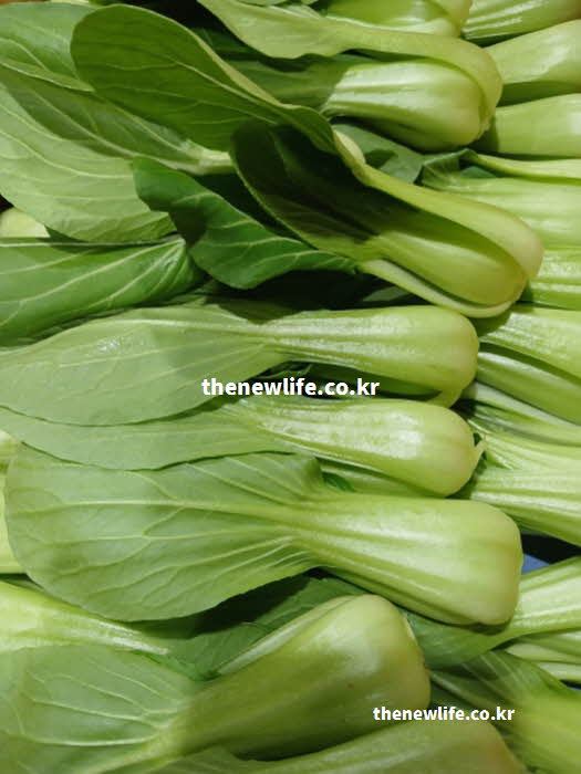 청경채 효능 골다공증 예방 마그네슘 인