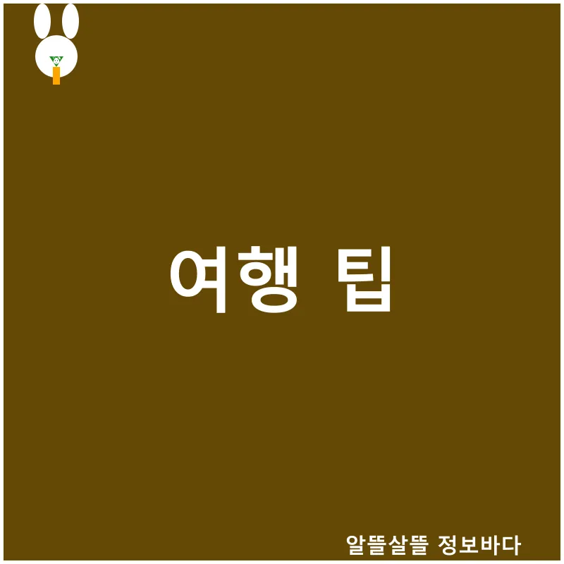 캠핑 유형 비교_3
