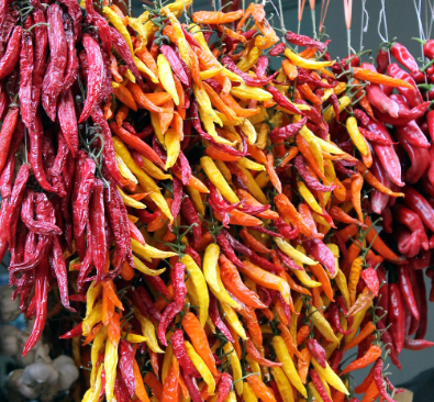 페페론치노_보관