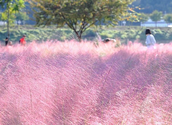 밀양 가볼만한곳