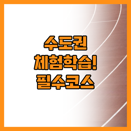 교육과 놀이를 동시에 잡는 수도권 체..