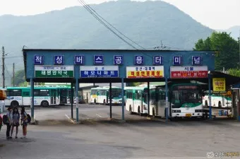 파주 문산 시외버스터미널 금촌 고속버스 시간표 예매 요금_39