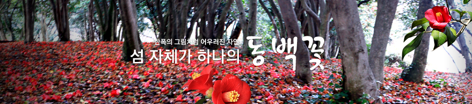 여수-오동도-동백꽃