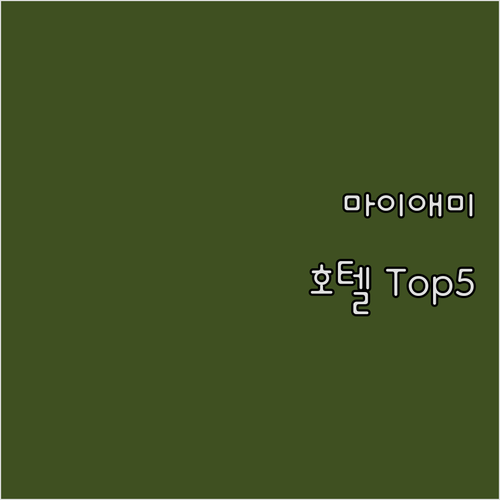 마이애미 여행객 필독 인기 호텔 To..