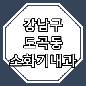 서울시 강남구 도곡동 &quot;소화기 내과&quot; 동네 병원