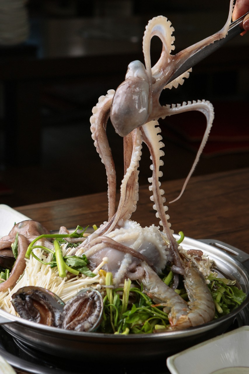 칼국수 떡갈나무집 후기 대전 낙지볶음 연포탕