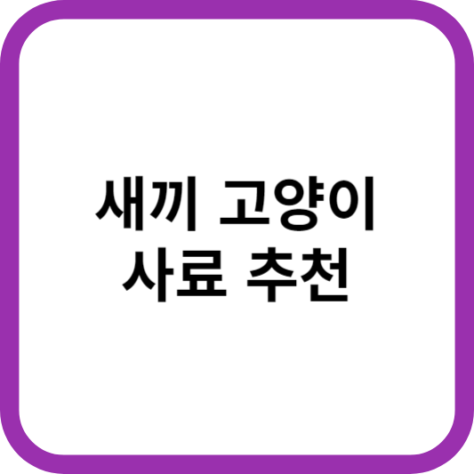 새끼고양이사료추천