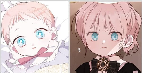 메이블가데니아