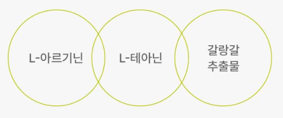 데이팩 아르기닌 어웨이크 스틱
