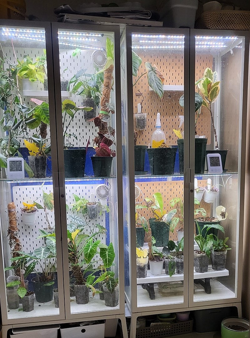 옥자연이 선택한 이케아 밀스보, 아파트에서 식물장 하나로 텃밭 자연주의 (+나혼산 리뷰)