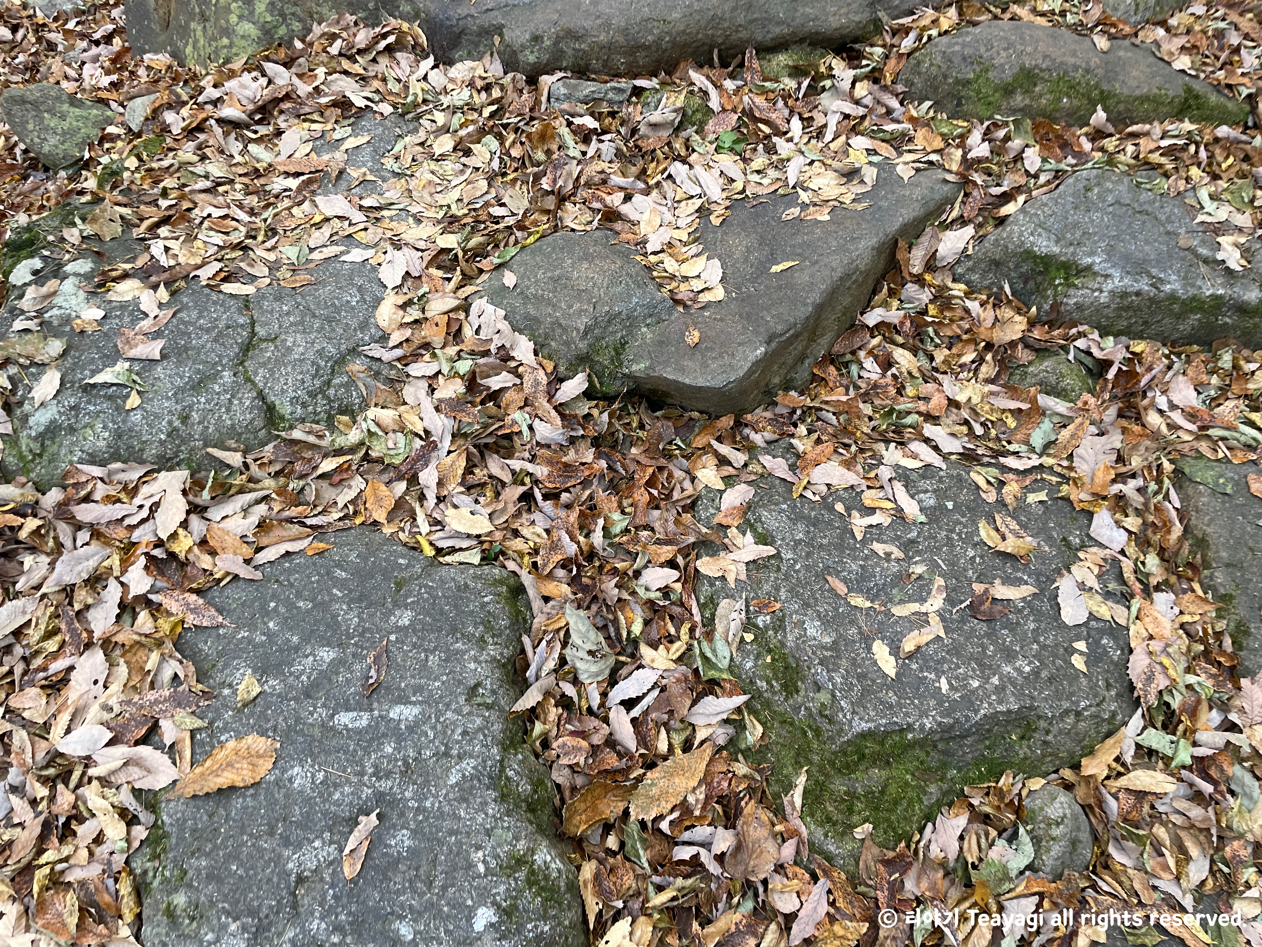 화엄사-지리산-등산코스-산책로-5