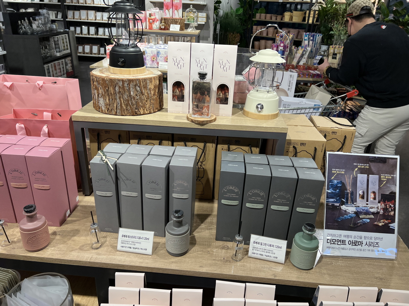 모던하우스세종