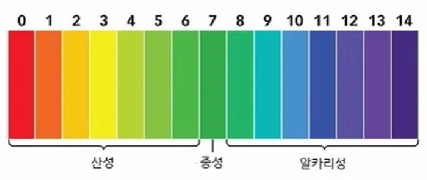 강한 산성 pH 농도를 가지고 있는 꿀
