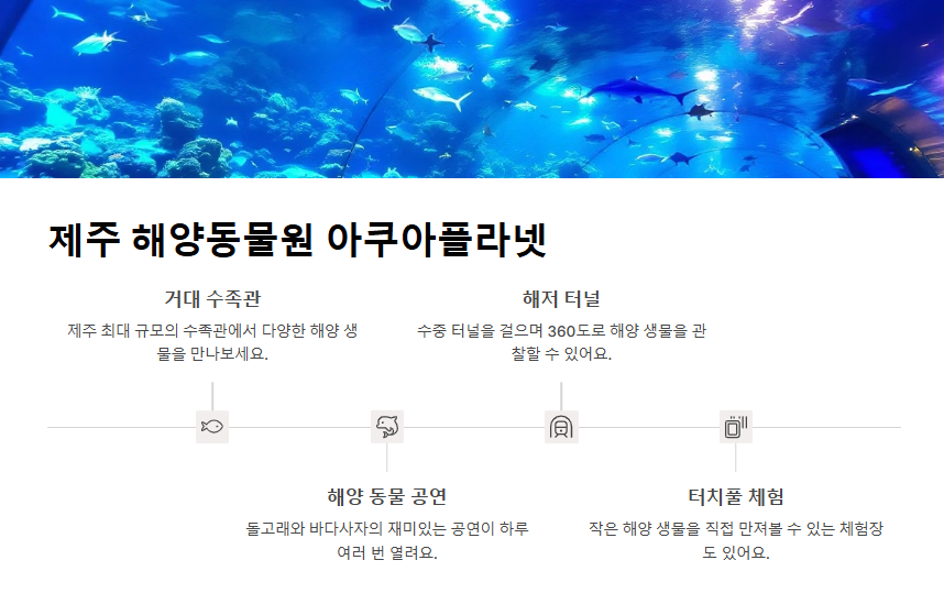 제주 실내 관광지 추천 비 오는 날에도 걱정 없는 여행지 모음