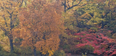 서울근교 단풍 명소 추천