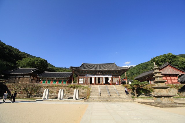 2023년 구례 산수유축제 총정리