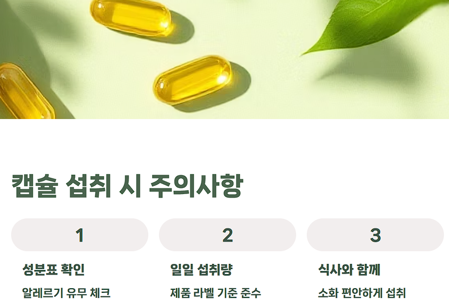 아보카도 오일 캡슐 효능 부작용