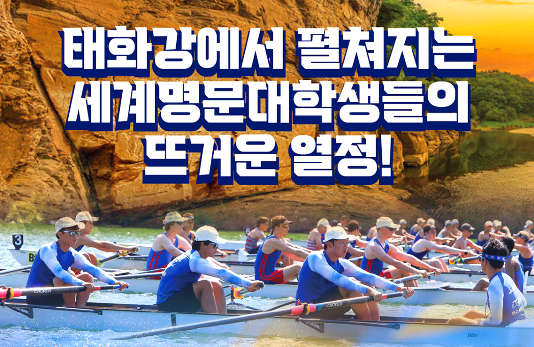 울산 조정 페스티벌