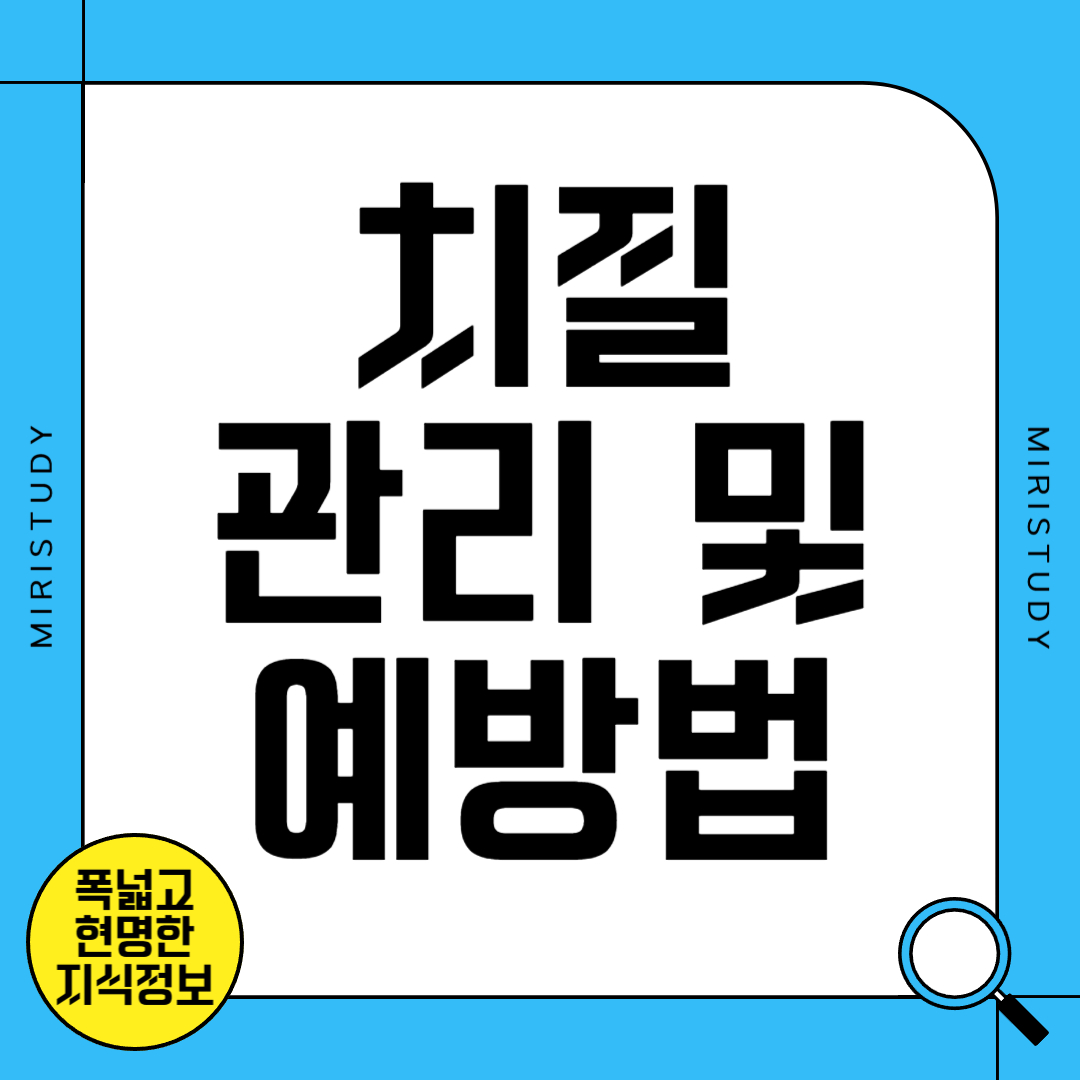 치질 관리와 예방법