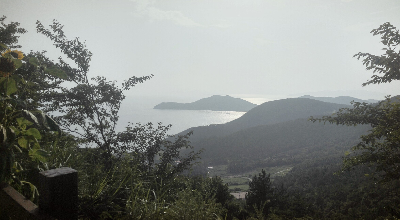 청산도 여행 정보, 슬로시티에서 만나는 섬과 바다의 자연풍경