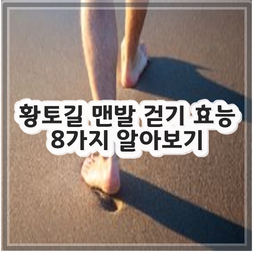 황토길 맨발 걷기 효능 8가지 알아보기