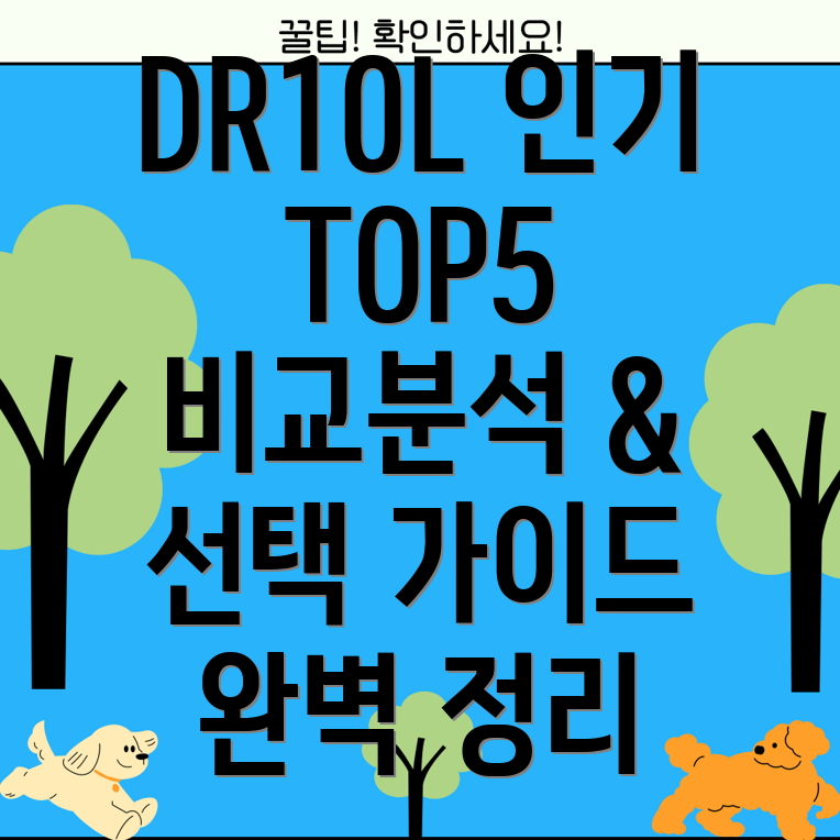 DR10L인기제품5가지상세비교분석및선택가이드
