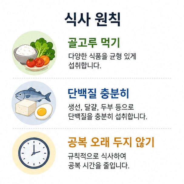 간경화 환자의 균형 잡힌 식사와 충분한 단백질, 긴 공복을 피하는 식사 원칙을 설명한 이미지