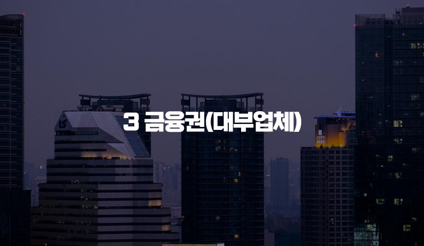 3 금융권(대부업체)