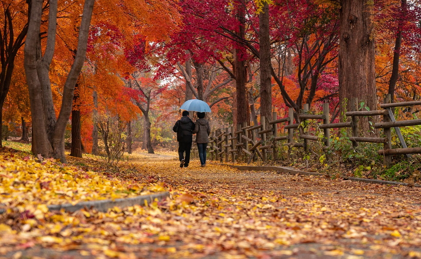 단풍여행 코스 정리 (조용한장소, 사진명당, 가을여행팁)