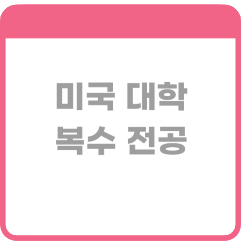 미국 대학 복수 전공