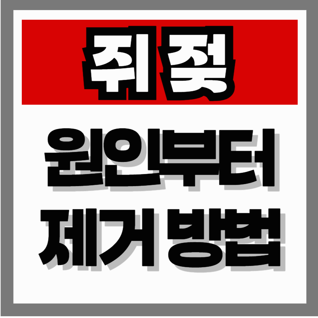 쥐젖 왜 생길까 원인부터 제거 방법까지 한 번에 정리