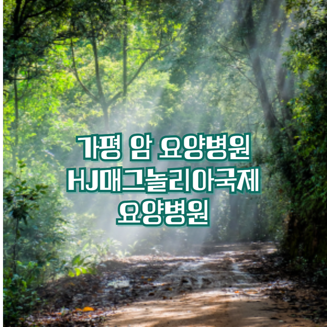 가평 암 요양병원 HJ매그놀리아국제요양병원