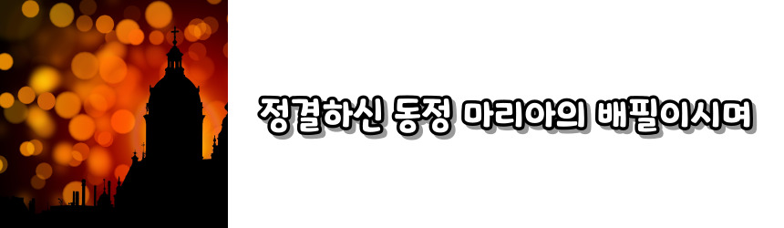 천주교 성 요셉 성월 기도문_성월 기도