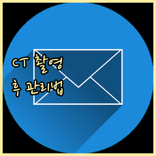 반려동물 CT 촬영 후 관리 방법과 