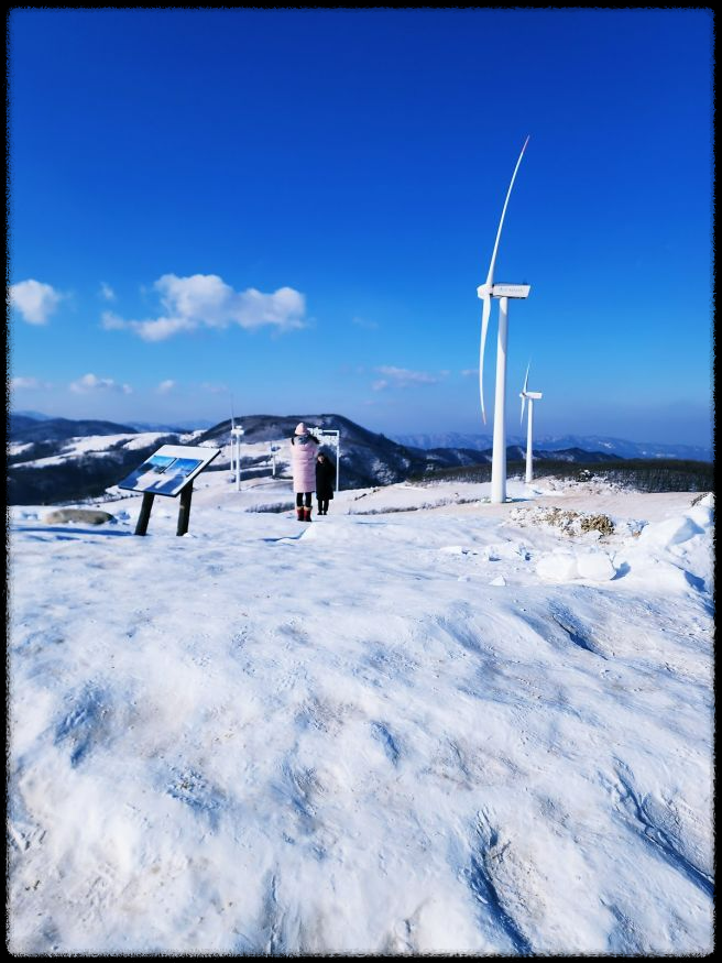삼양라운드힐 – 평창의 힐링 명소