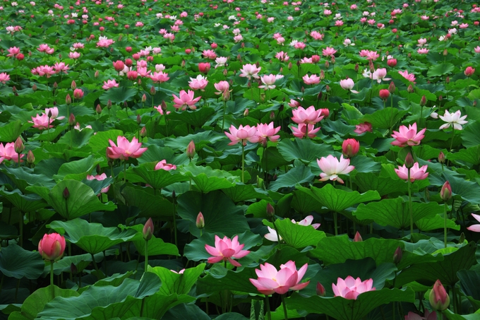 양평 가볼만한곳