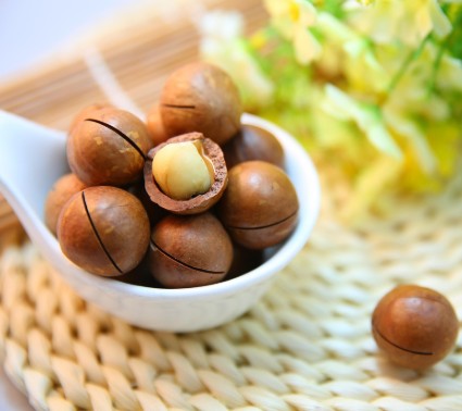 마카다미아 효능 및 부작용, 하루 섭취량, 칼로리