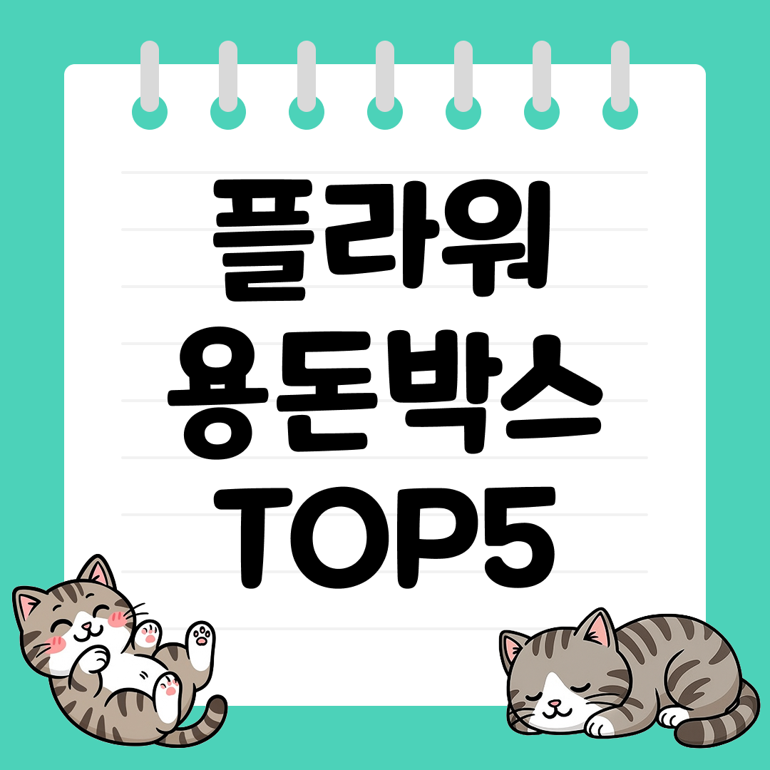 생일&middot;기념일 감동을 전하는 플라워 용돈박스 추천 순위 TOP5
