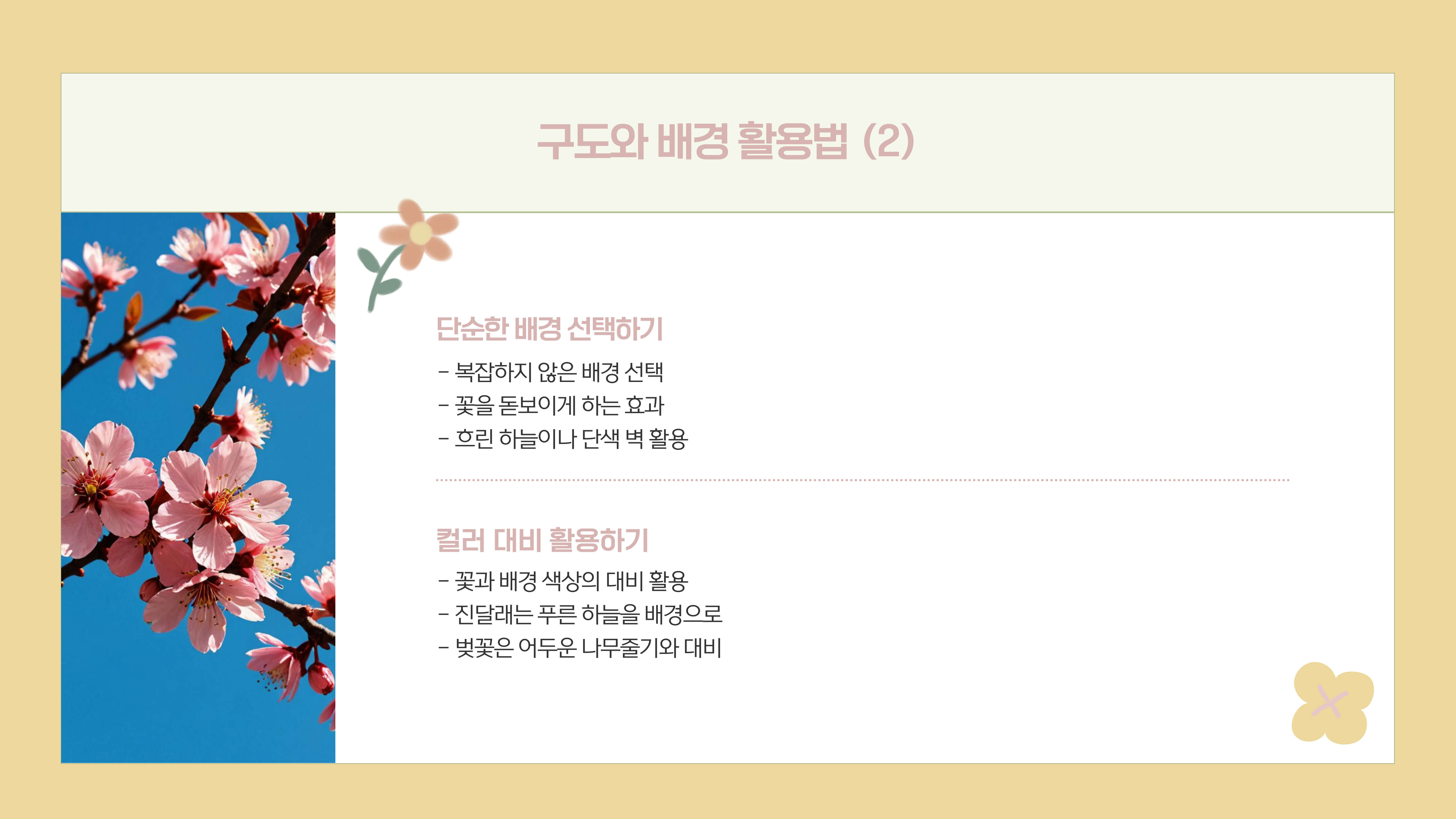 화담숲 봄꽃 사진 촬영 팁