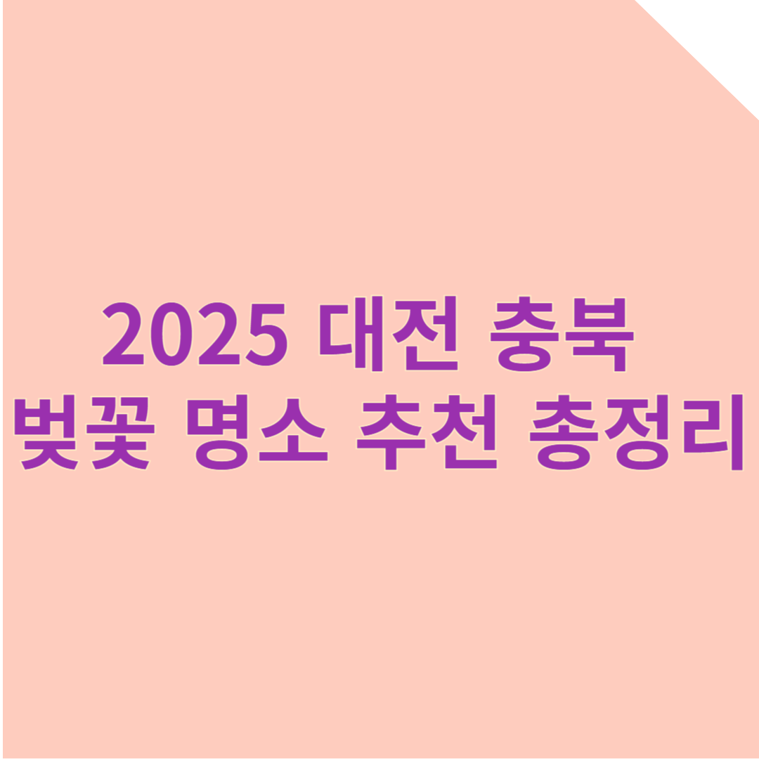 2025 대전 충북 벚꽃 명소 추천! 가족 연인 나들이 코스 총정리