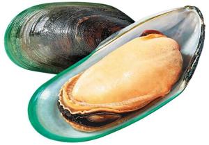 연골에 좋은 영양제