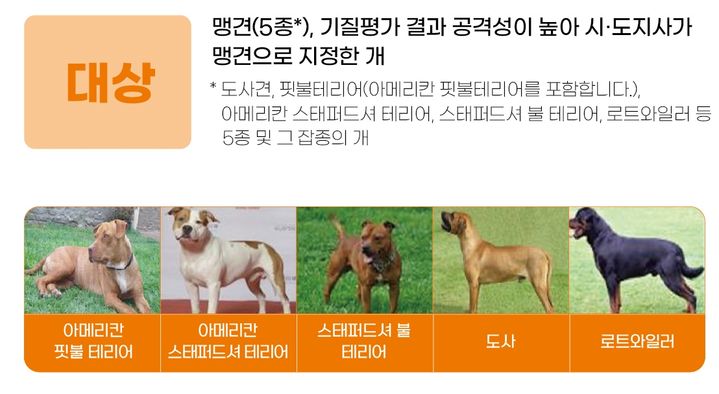 맹견 5종 이미지