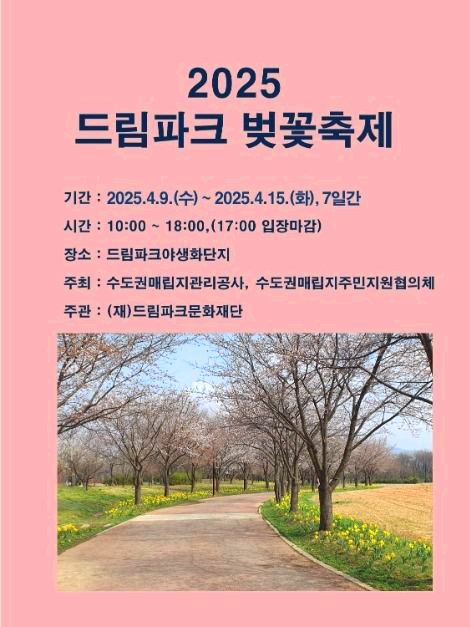 드림파크 벚꽃축제