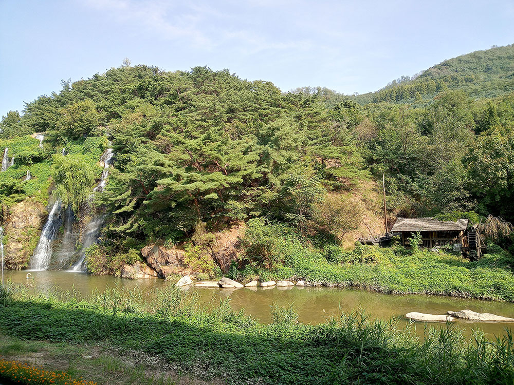 서대문구 나혼자걷자 홍제동 동네한바퀴 걷기챌린지
