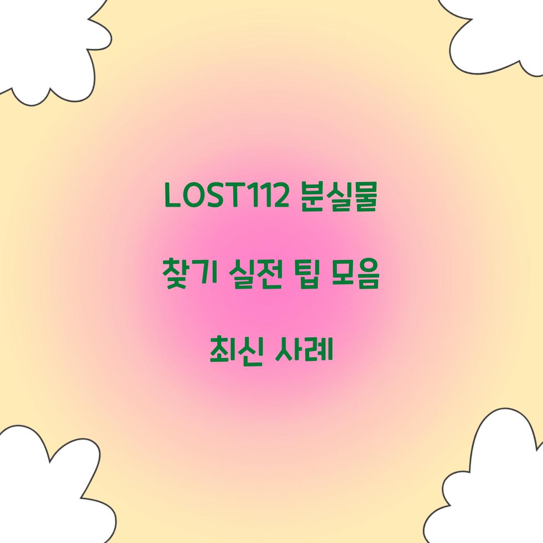 LOST112 분실물 찾기