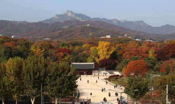 유네스코 종묘논란