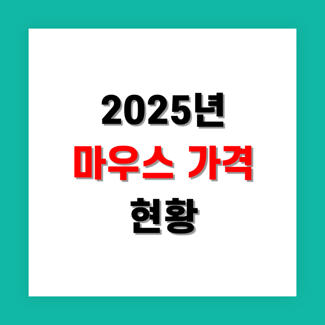 2025년 마우스 가격 변동 추이