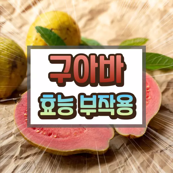 구아바 효능 부작용